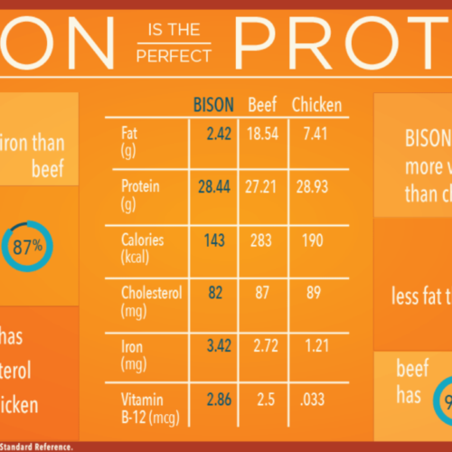 Bison Is The Perfect Protien