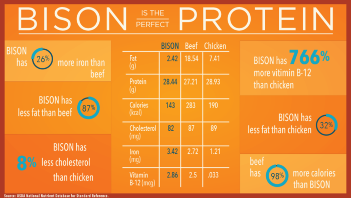 Bison Is The Perfect Protien