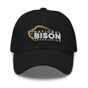 NBA Logo Embroidered Dad Hat
