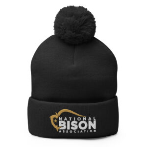 Embroidered NBA Logo Pom-Pom Beanie