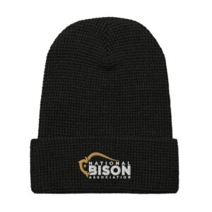 Embroidered NBA Logo Waffle Beanie